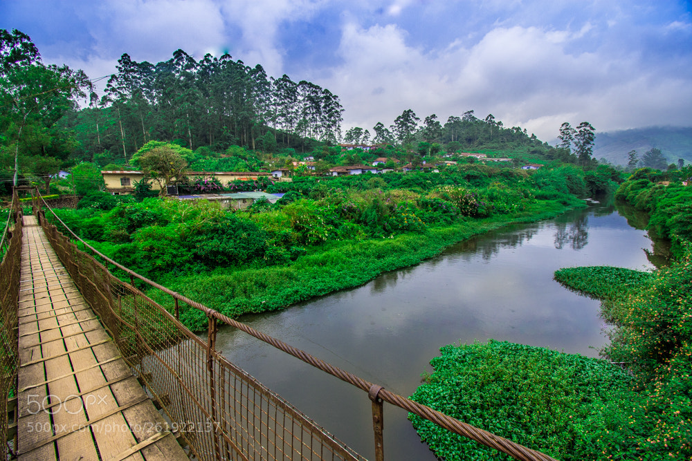 Nikon D7200 sample photo. The bridge photography