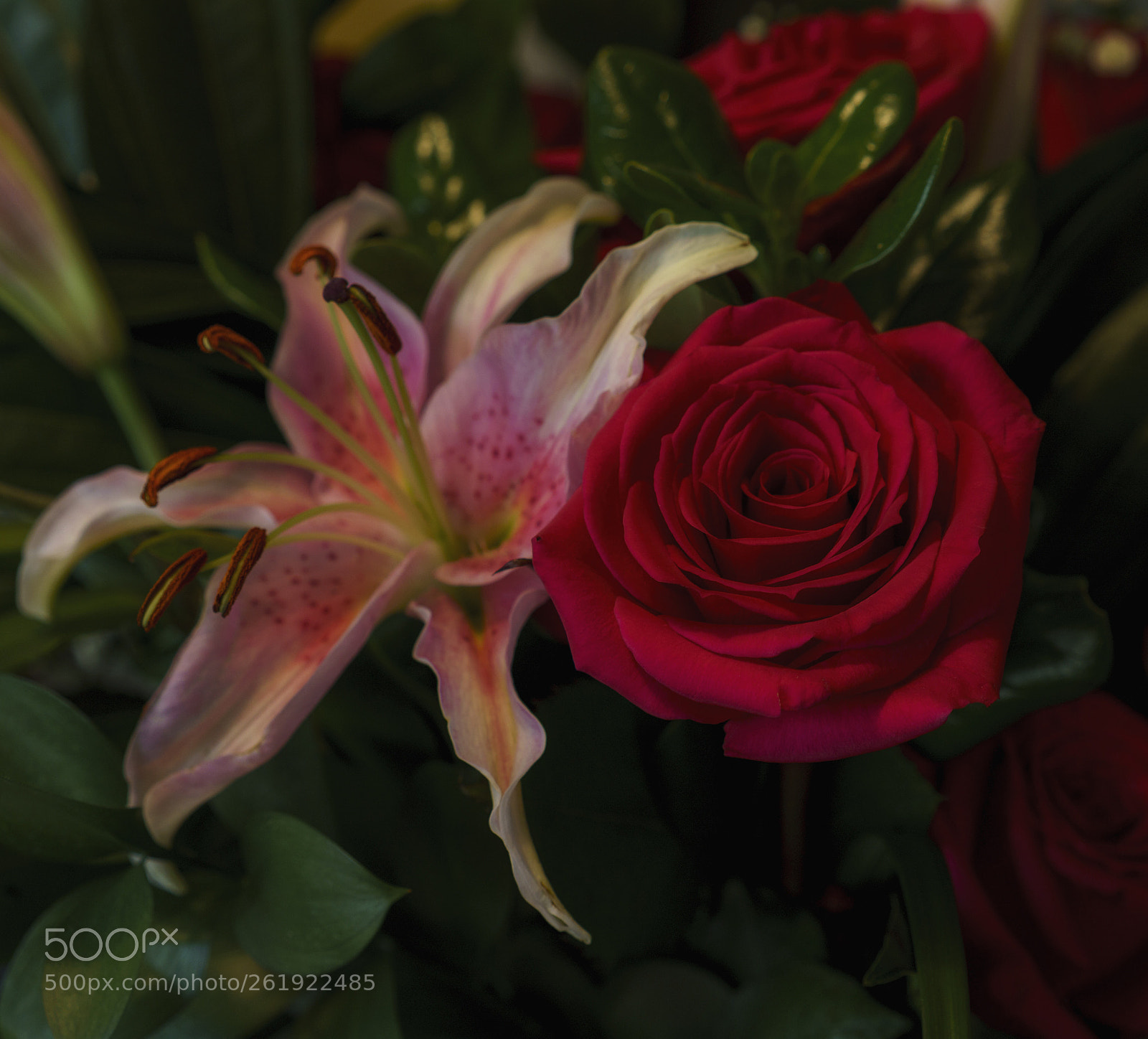 Sony a7R III sample photo. Flowers photography