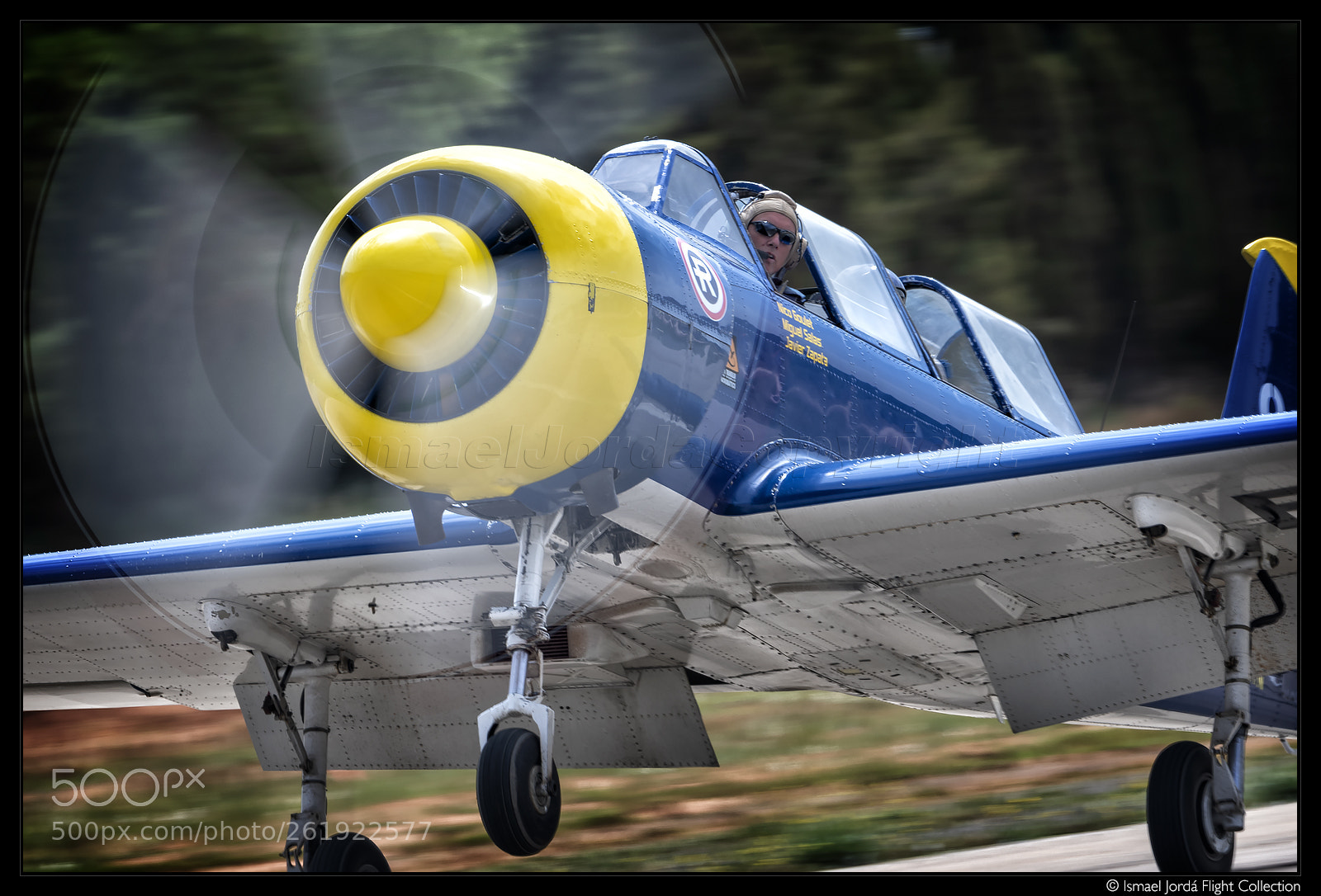 Nikon D850 sample photo. Nico goulet + yak 52 (2018) photography