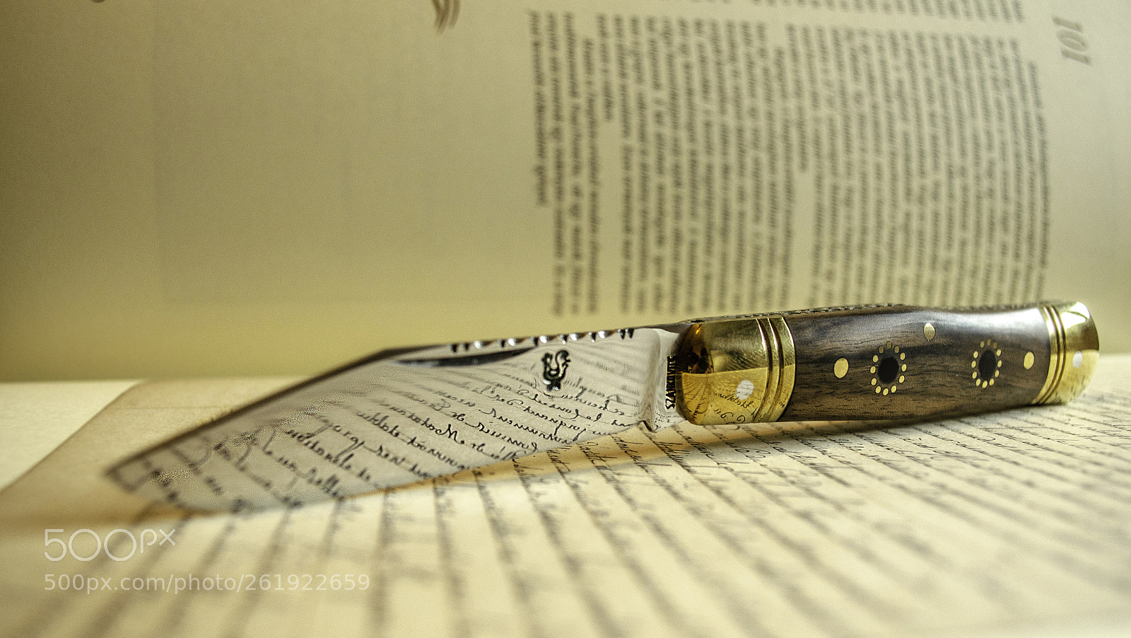 Nikon D5100 sample photo. Szankovits photography