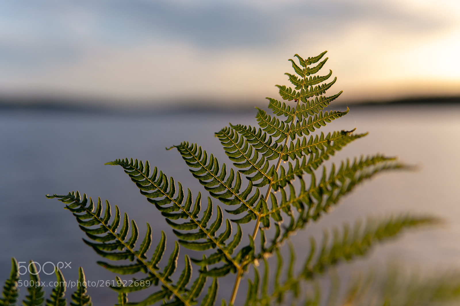 Sony a6500 sample photo. Pinnacle photography