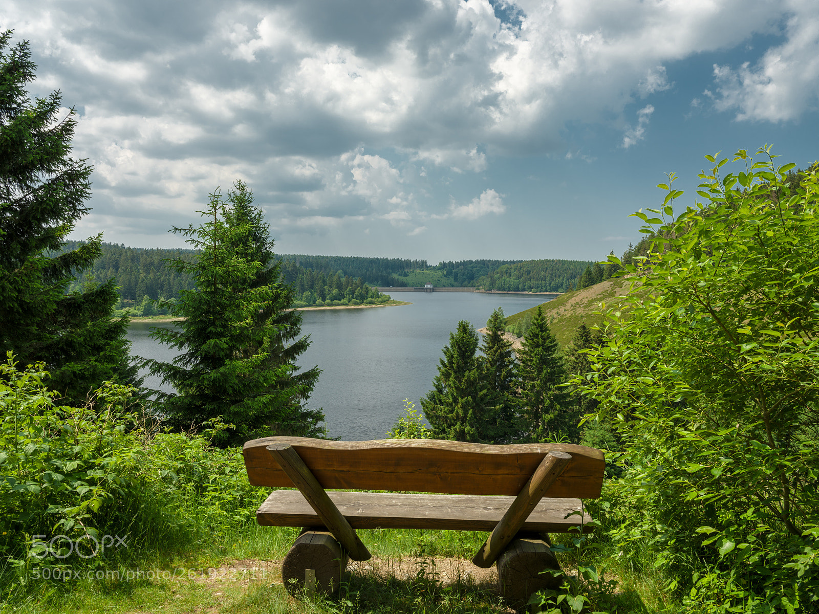 Fujifilm GFX 50S sample photo. Summer view over the photography