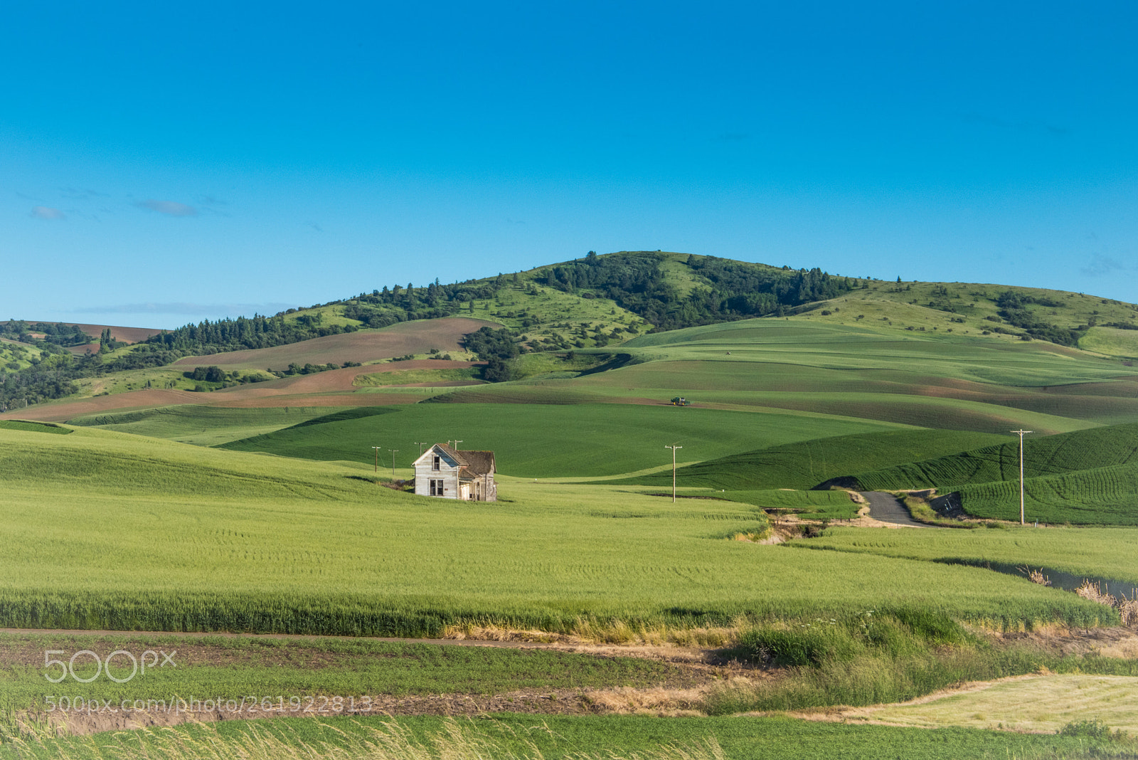 Nikon D810 sample photo. Promise of another harvest photography