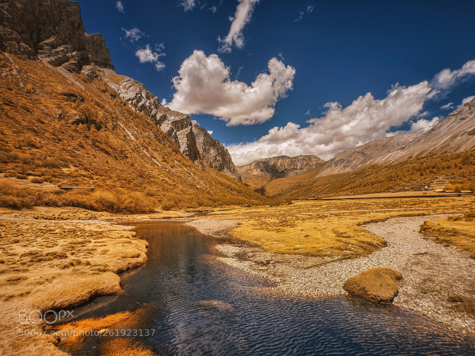 Olympus PEN E-PL5 sample photo. Yading nature reserve in photography