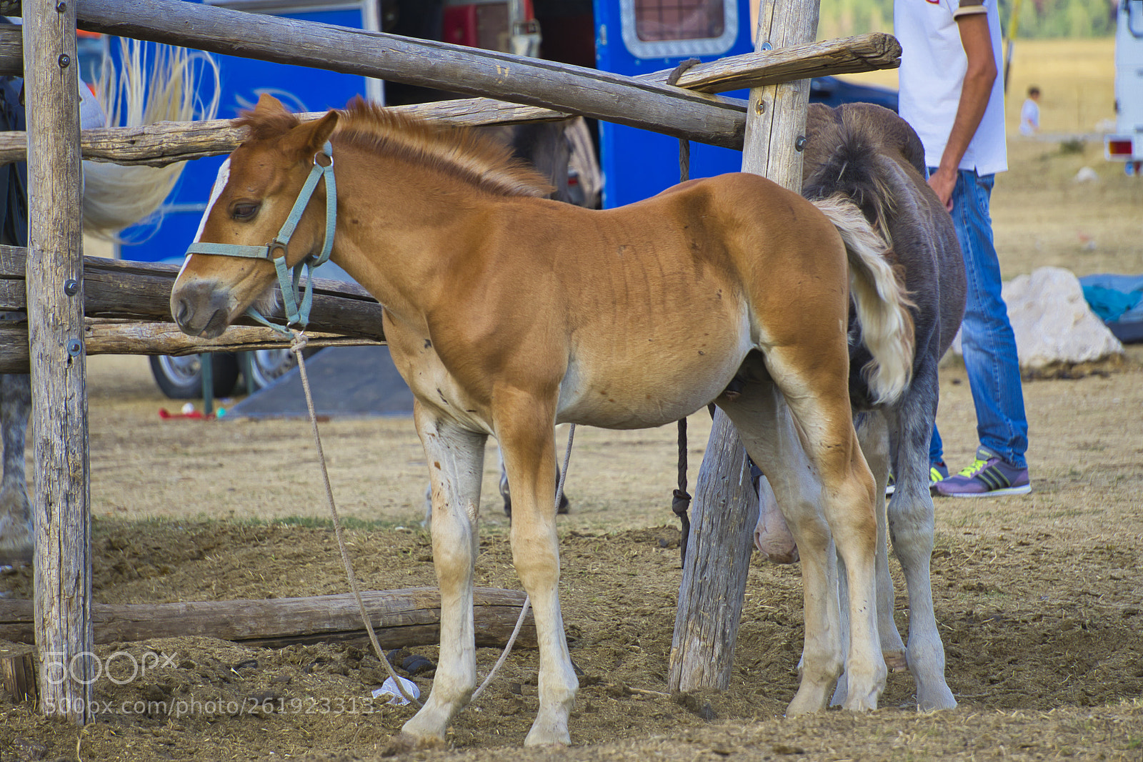 Sony a6000 sample photo. Dsc photography