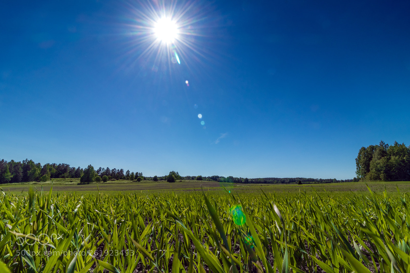 Canon EOS 77D (EOS 9000D / EOS 770D) sample photo. Untitled photography