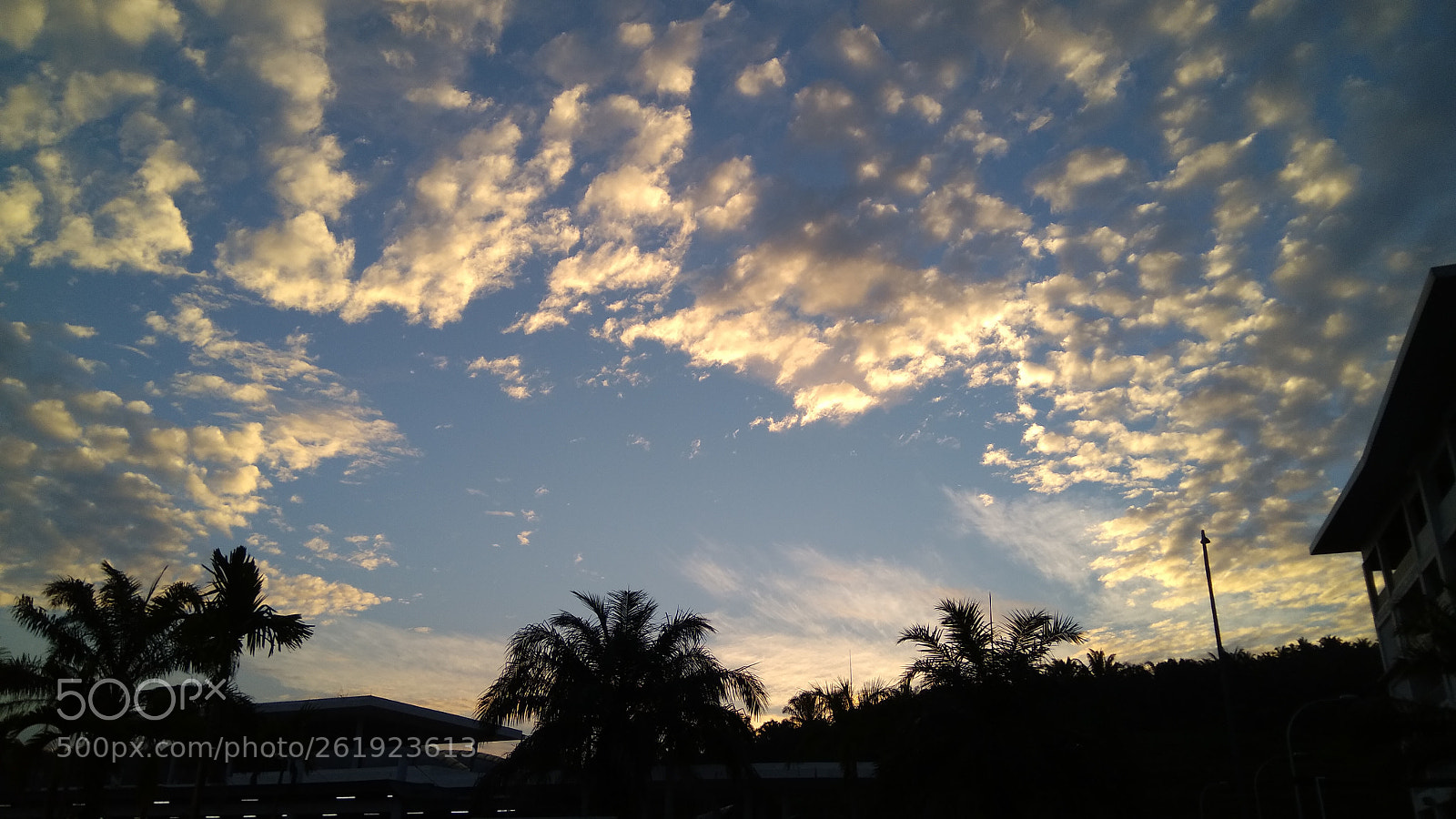 Xiaomi MI MAX sample photo. Blue sky photography