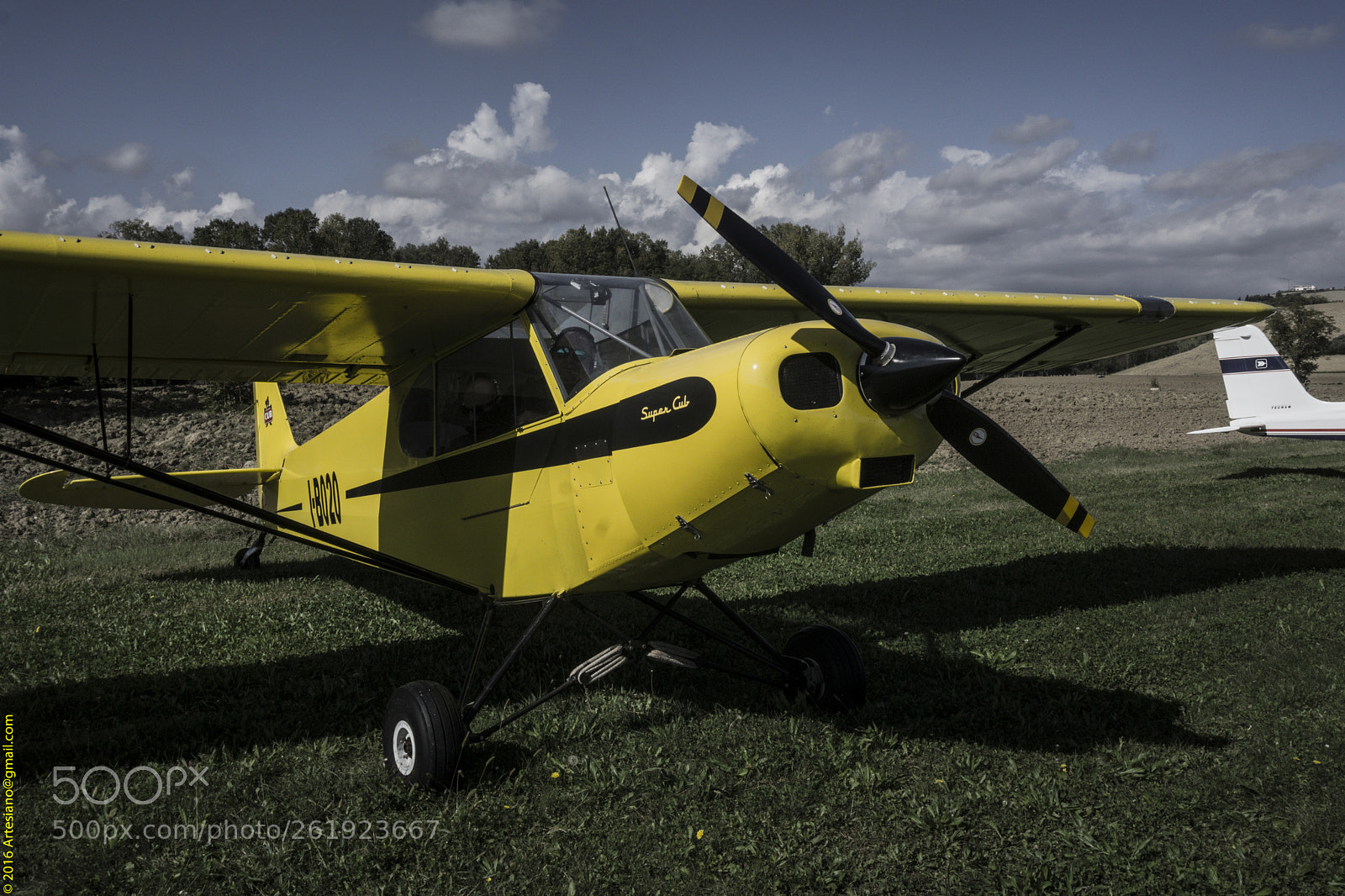Sony a6000 sample photo. Dsc photography