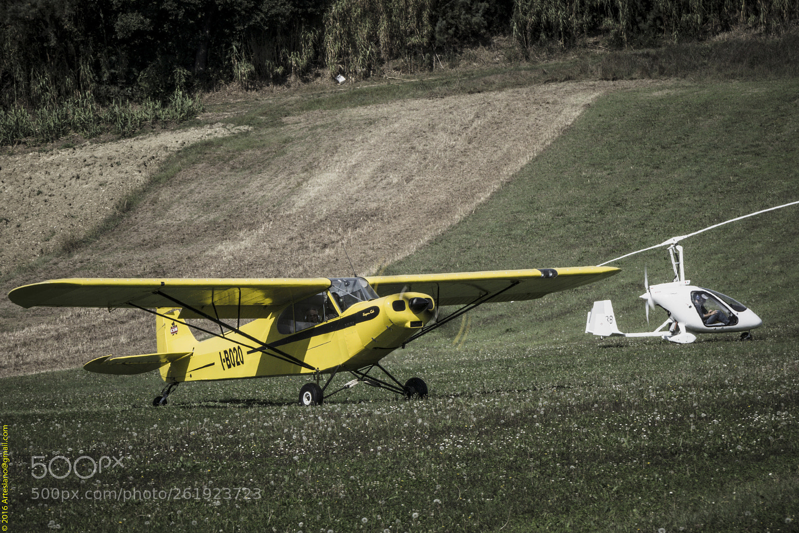 Sony a6000 sample photo. Dsc photography