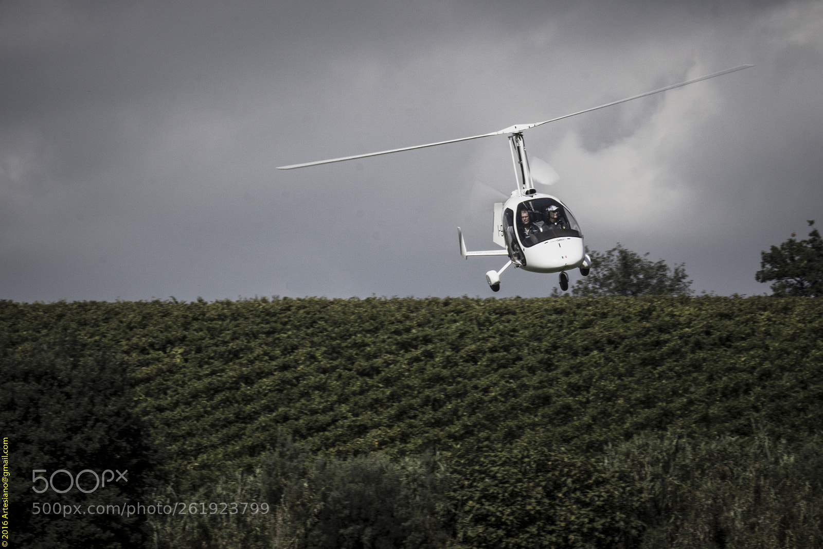 Sony a6000 sample photo. Dsc photography