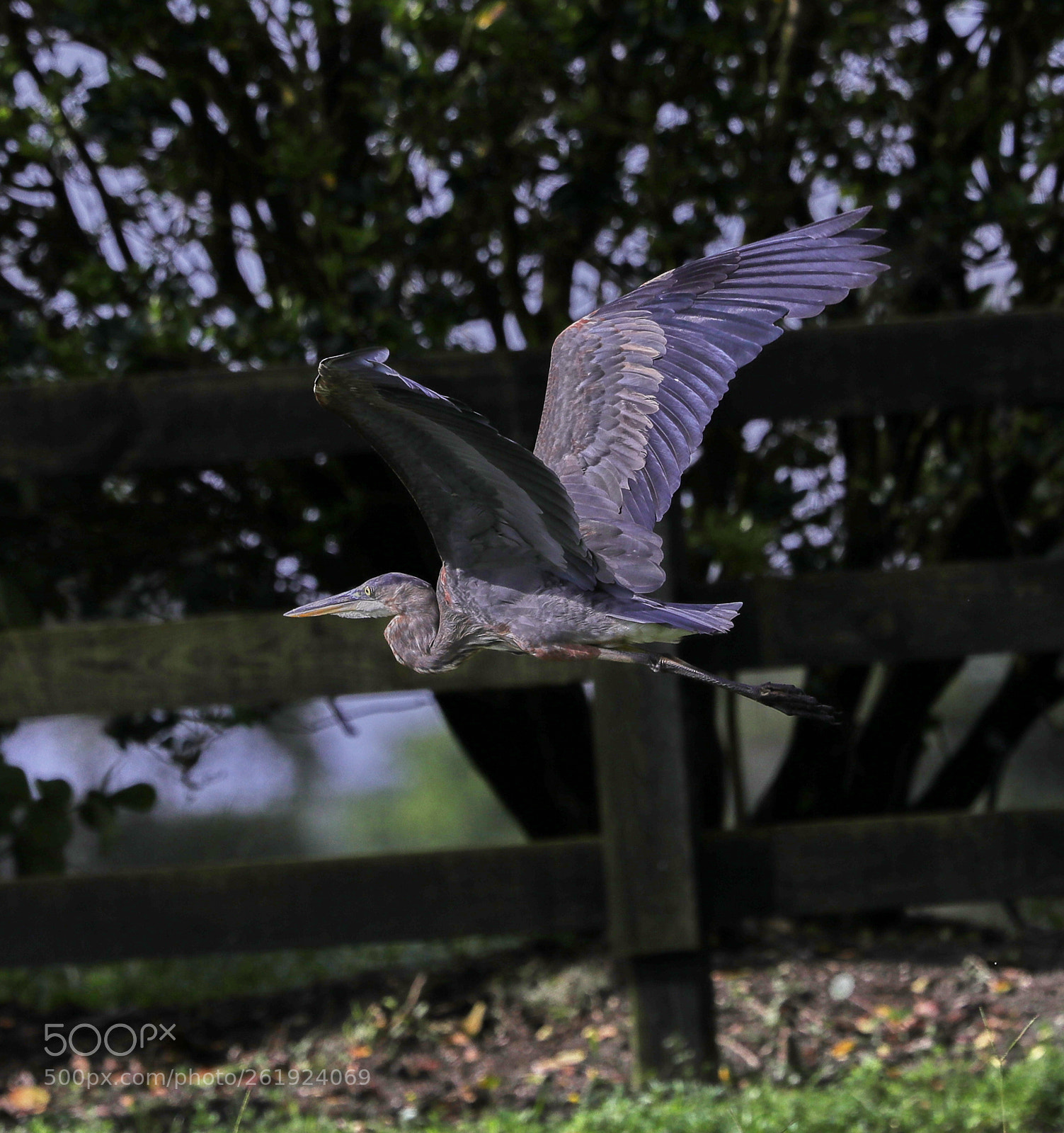 Canon EOS-1D X Mark II sample photo. 06-12-18-0022191.jpg photography