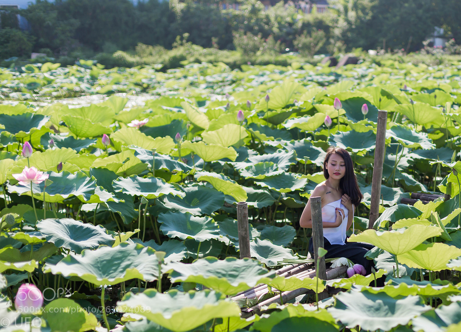 Canon EOS 6D sample photo. Virgin with lotus photography