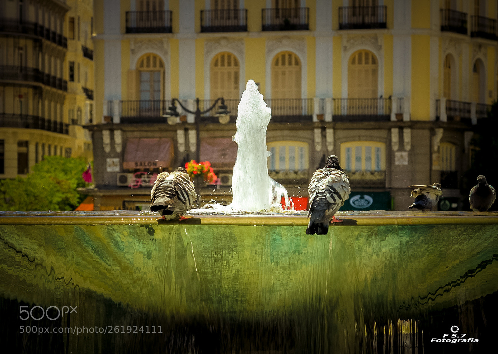 Canon EOS 7D sample photo. Fuente y palomas photography