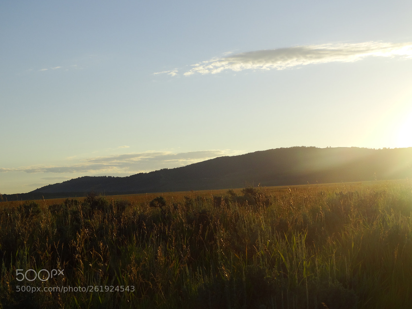 Sony Cyber-shot DSC-HX300 sample photo. Dsc photography