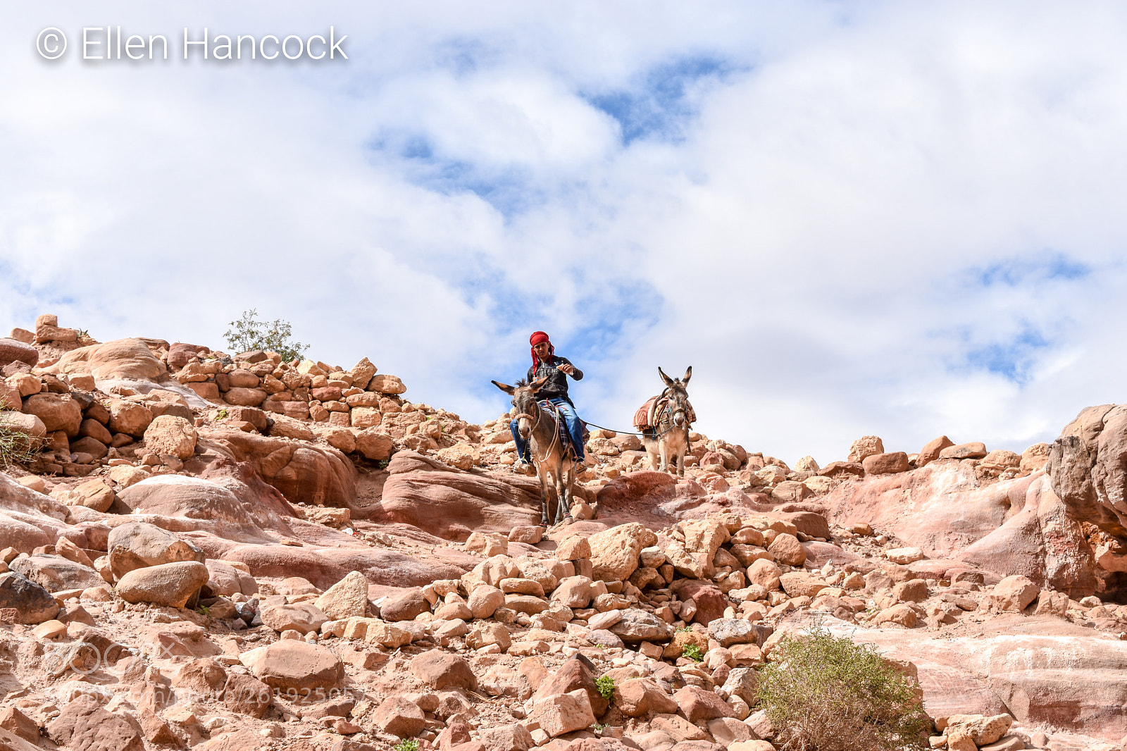 Nikon D3400 sample photo. Petra (c) ellen hancock photography