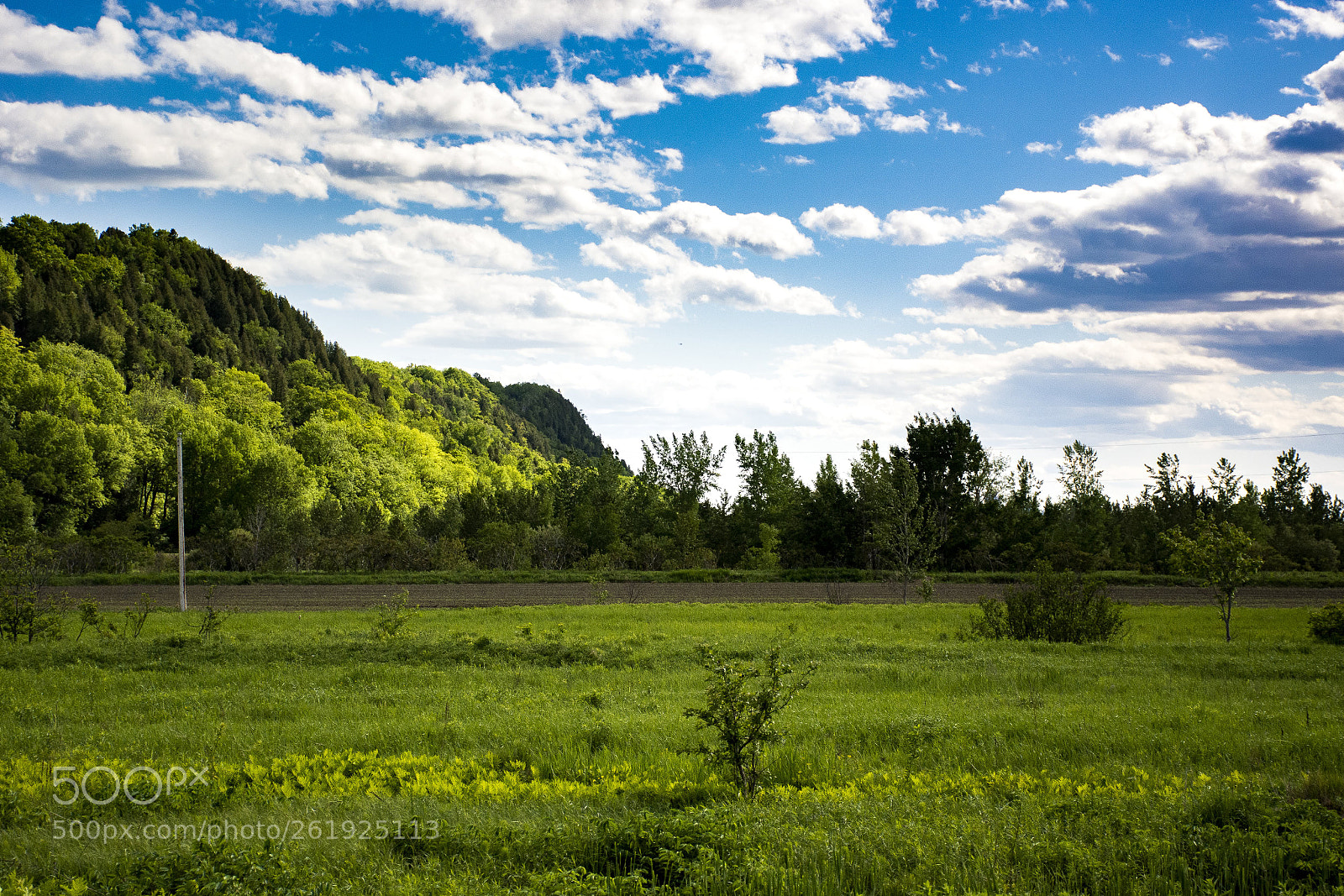 Nikon D7100 sample photo. Green land photography