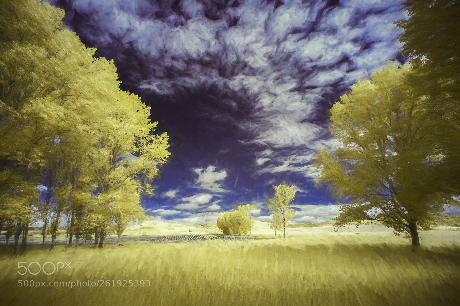 Canon EOS 5D sample photo. Aranguren  (impressionistic version) photography