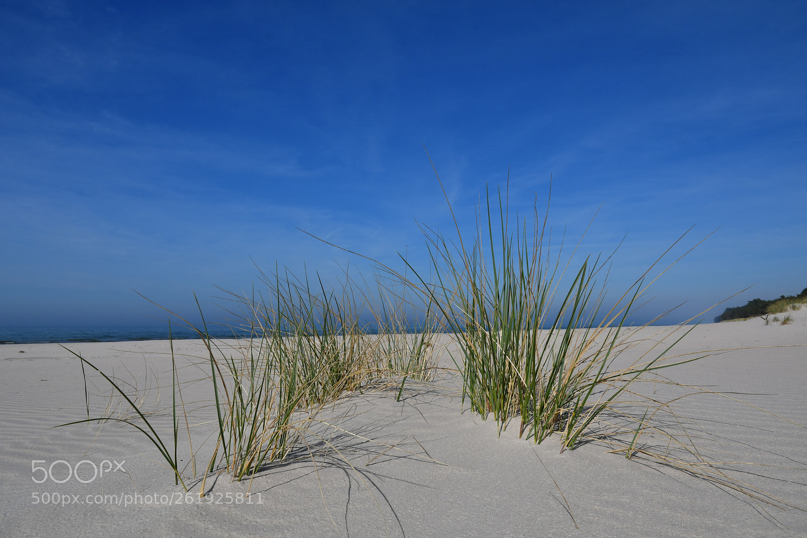 Nikon D500 sample photo. Summer on the beach photography