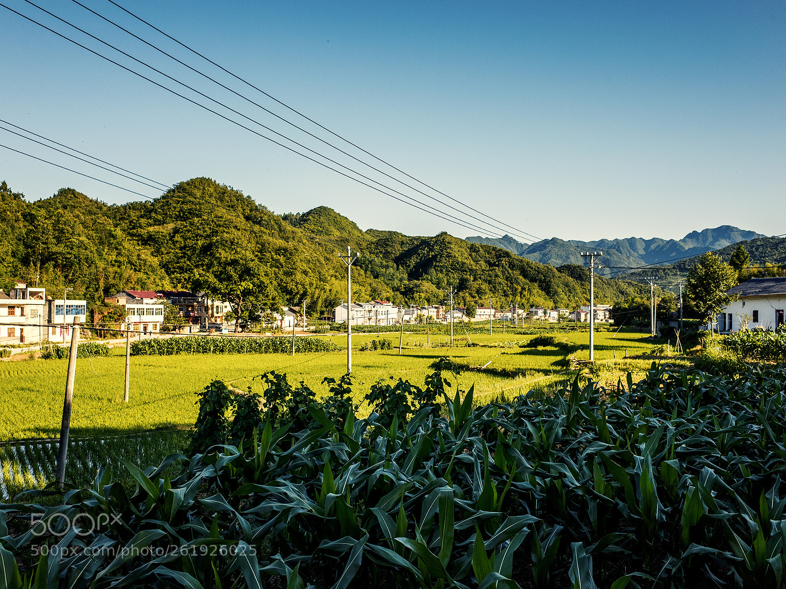 Ricoh GR sample photo. Hometown photography