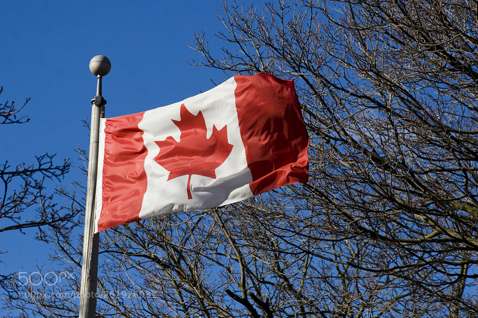 Canon EOS 30D sample photo. Canada photography