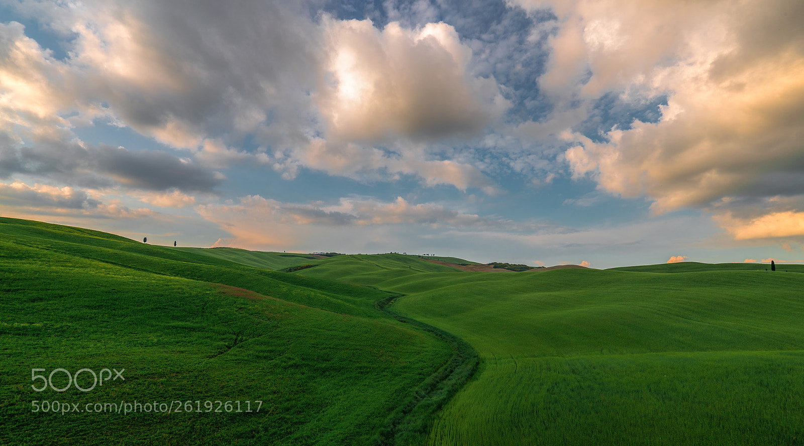 Canon EOS-1D X Mark II sample photo. Linee orcia photography
