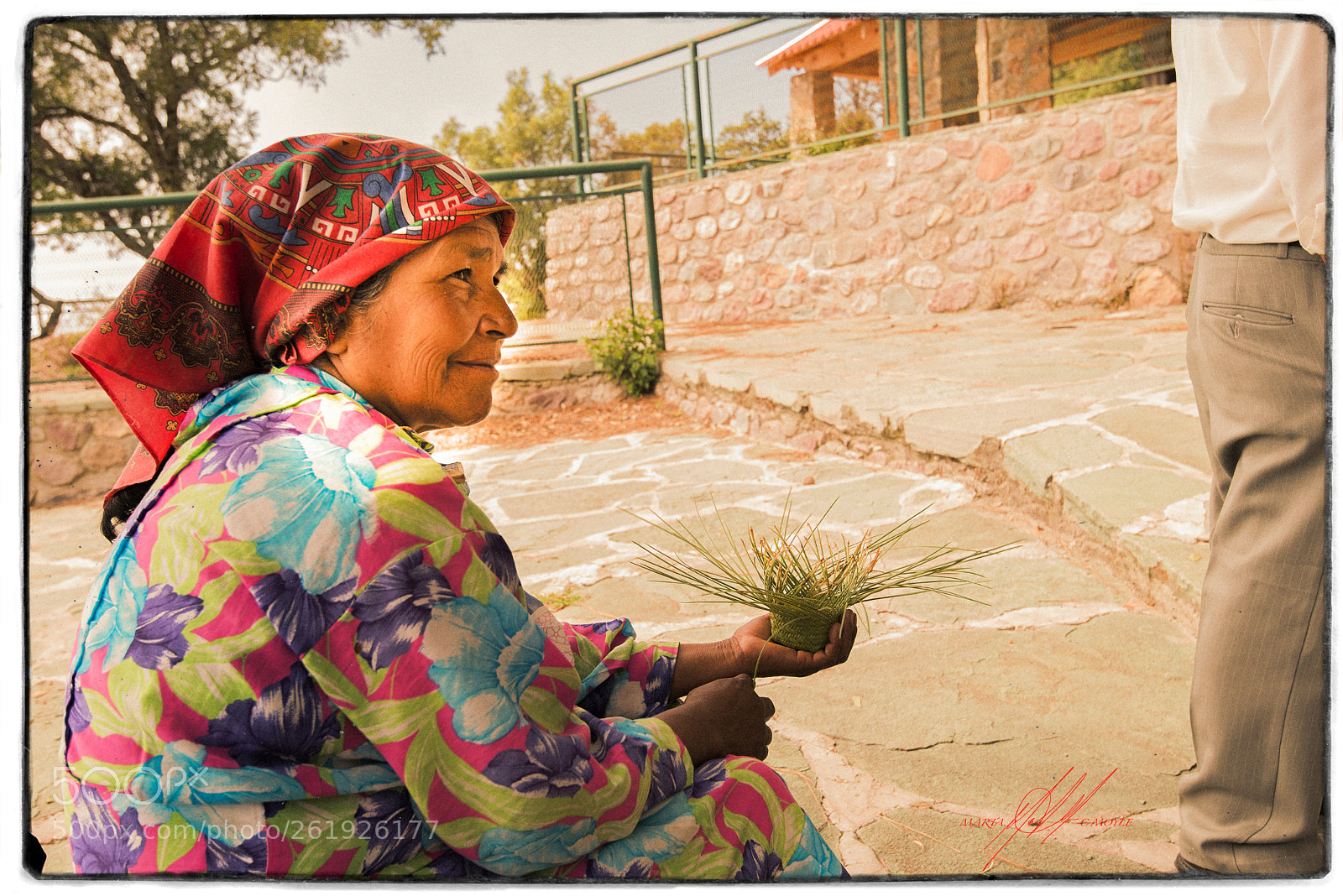 Nikon D610 sample photo. Chihuahua el chepe raramuri photography