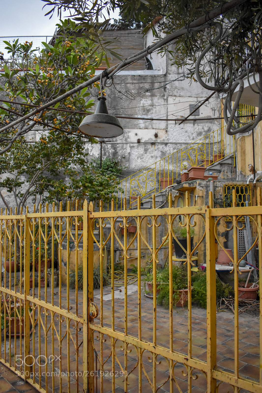 Nikon D3400 sample photo. Naples & ischia island photography