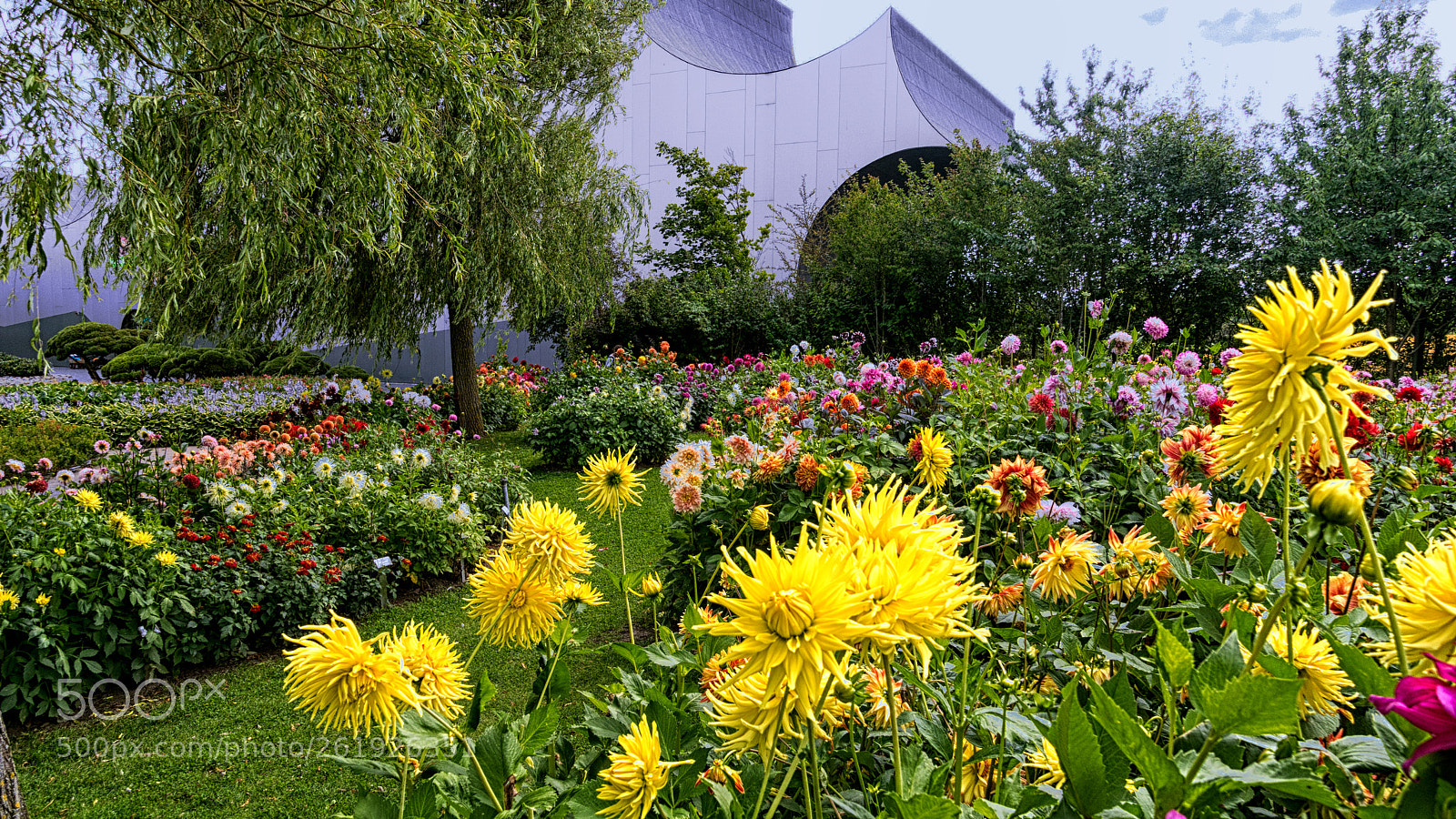 Sony ILCA-77M2 sample photo. Dahlia park photography