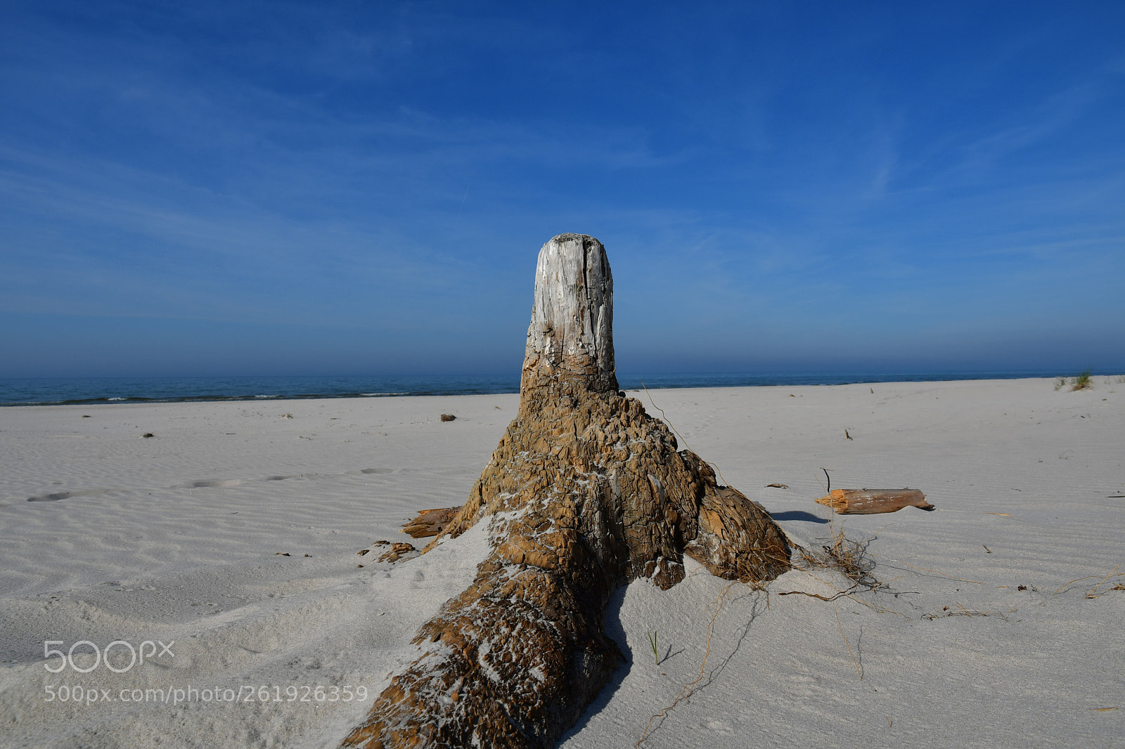Nikon D500 sample photo. Summer impressions from debki photography