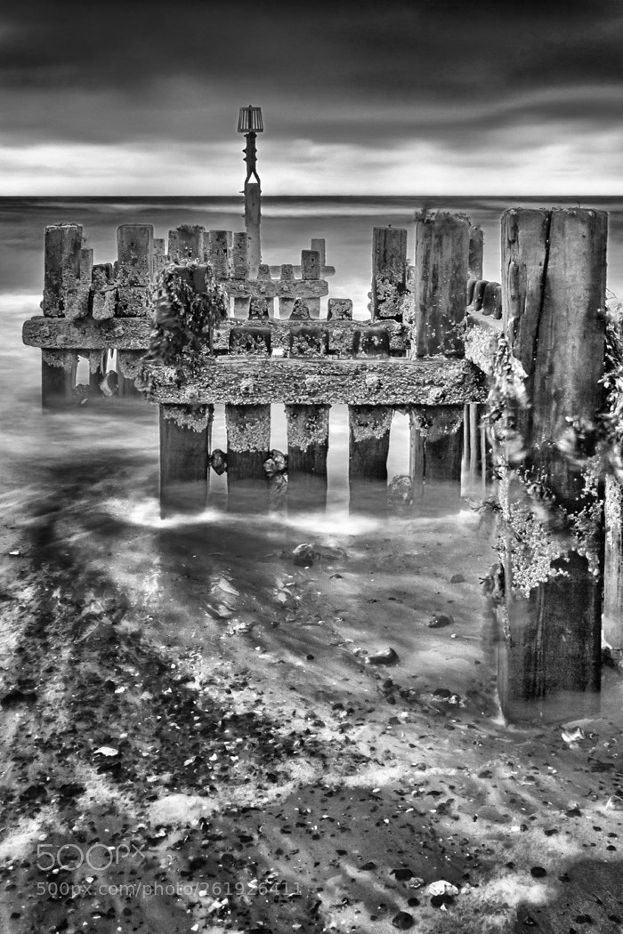 Canon EOS 50D sample photo. Weathered groyne photography
