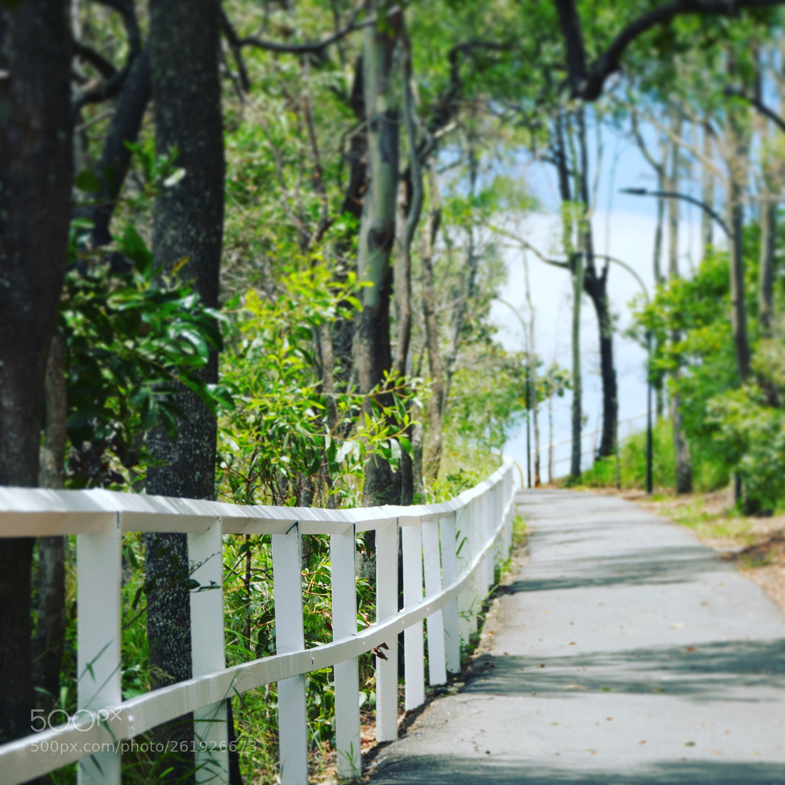 Panasonic Lumix DMC-G7 sample photo. Shall we walk? photography