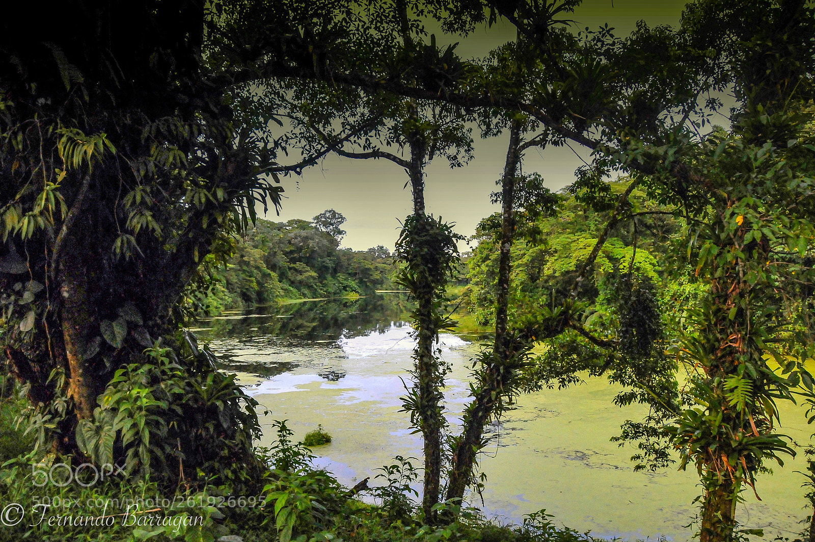 Nikon D300S sample photo. Rio costa rica photography