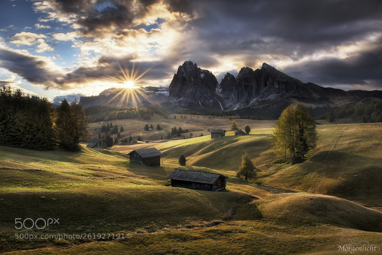 Nikon D800 sample photo. Good morning seiser alm... photography