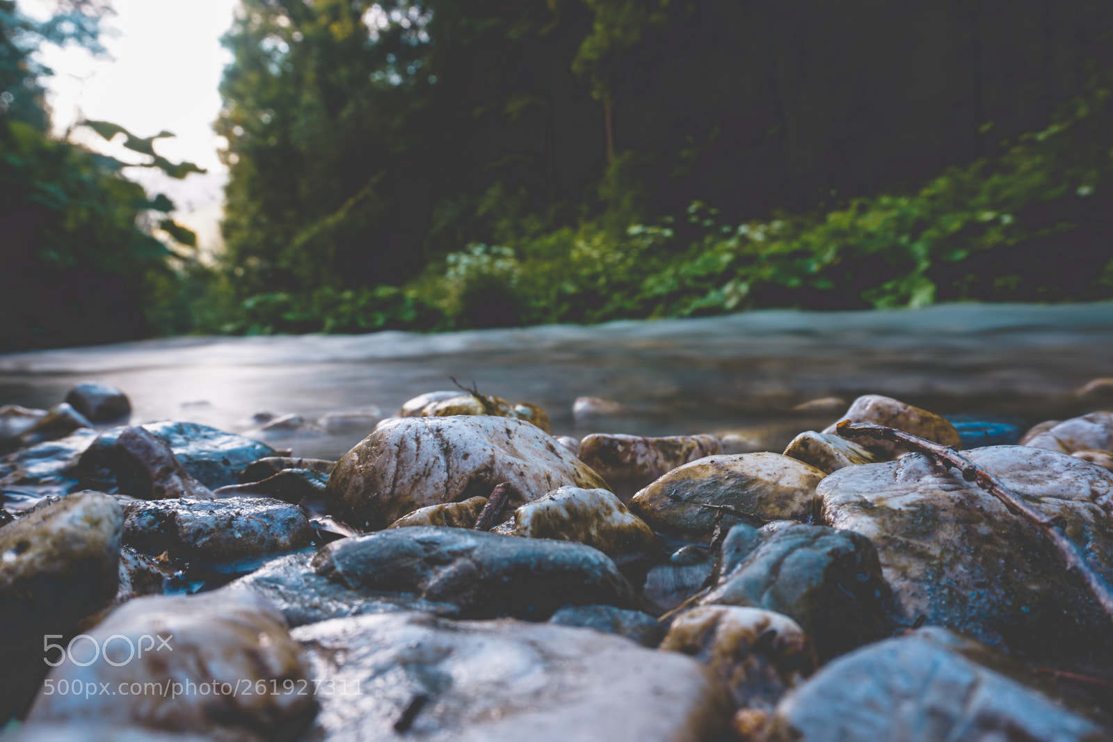 Sony a6000 sample photo. Forest, water and rock'n photography
