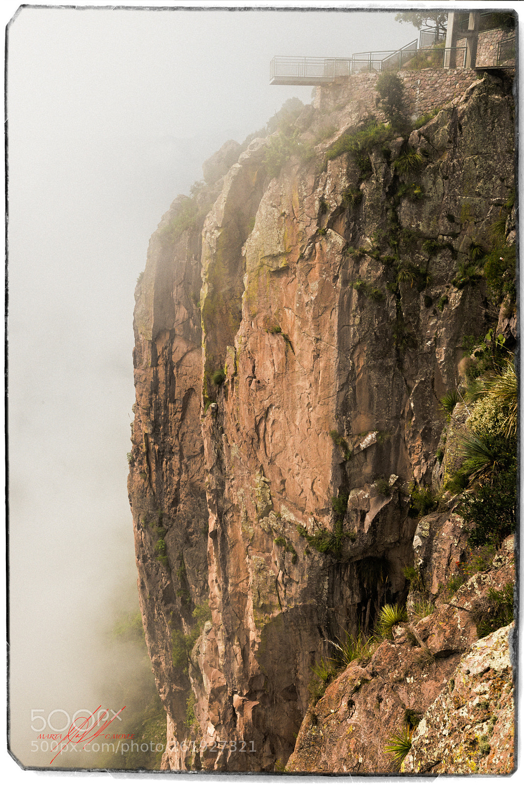 Nikon D610 sample photo. Chihuahua el chepe mirador photography