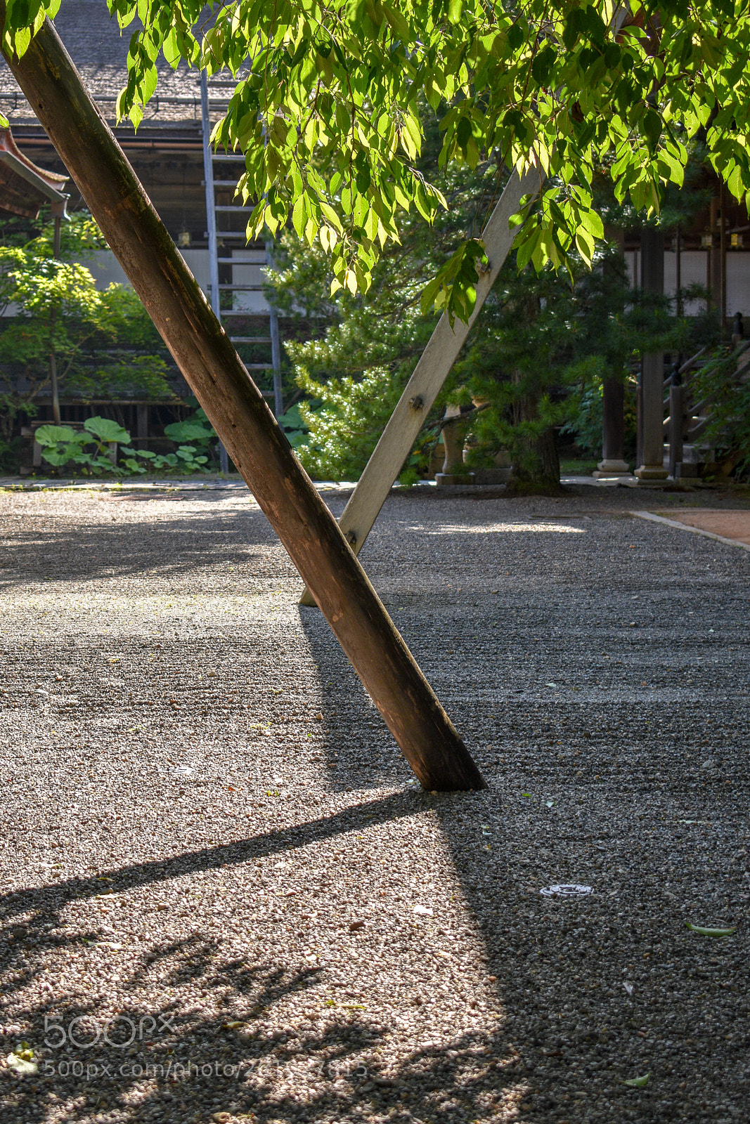Nikon D3400 sample photo. Dsc_0778-2.jpg photography