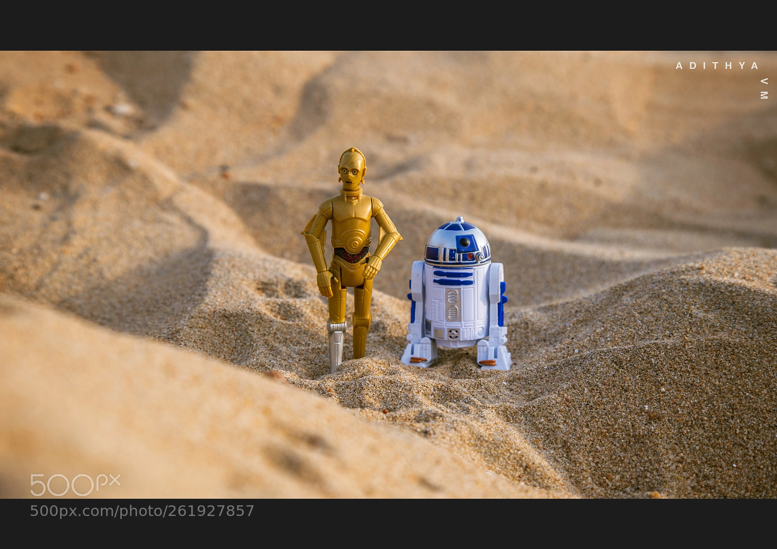 Canon EOS 6D sample photo. Miniature life - star photography
