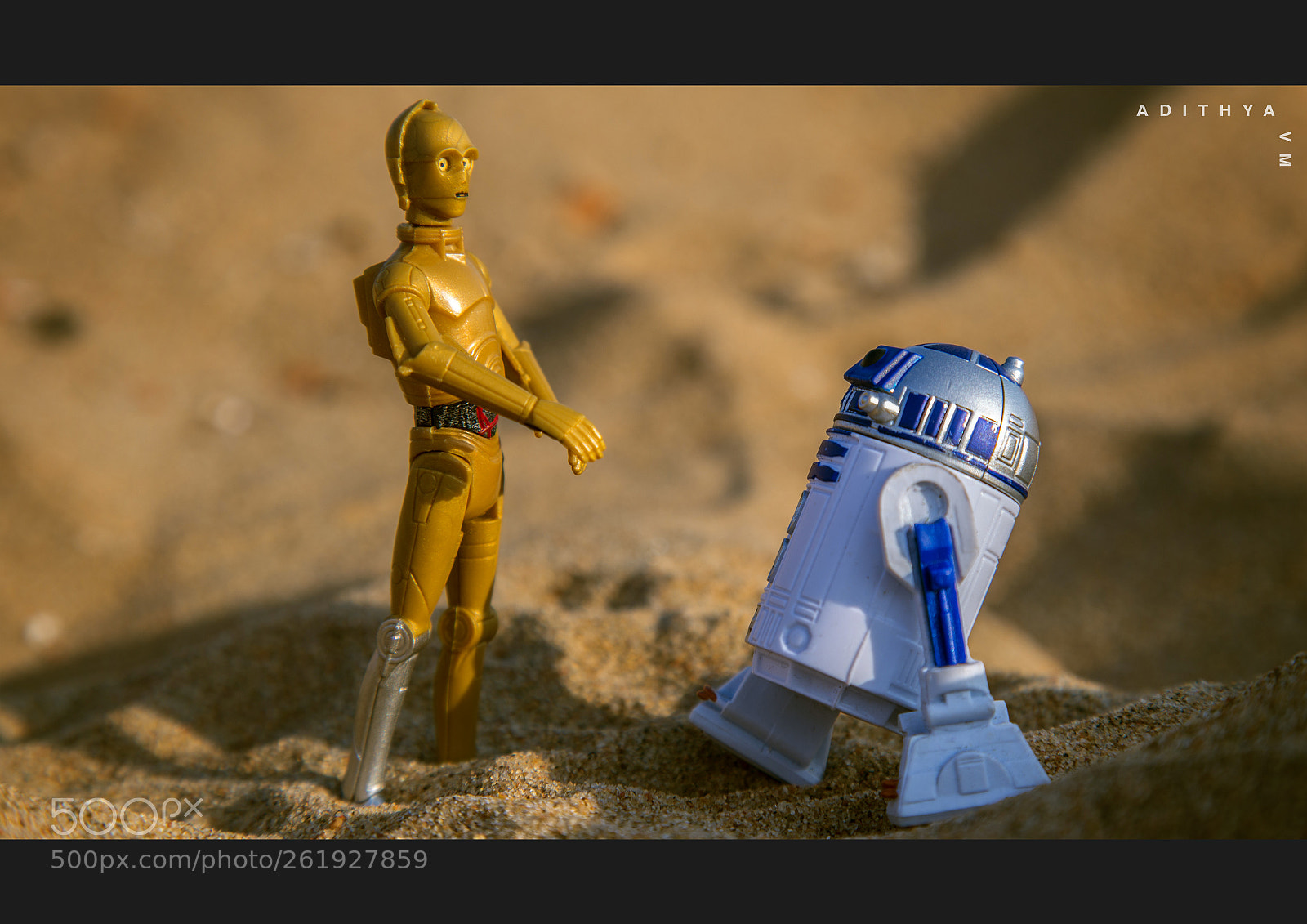 Canon EOS 6D sample photo. Miniature life - star photography