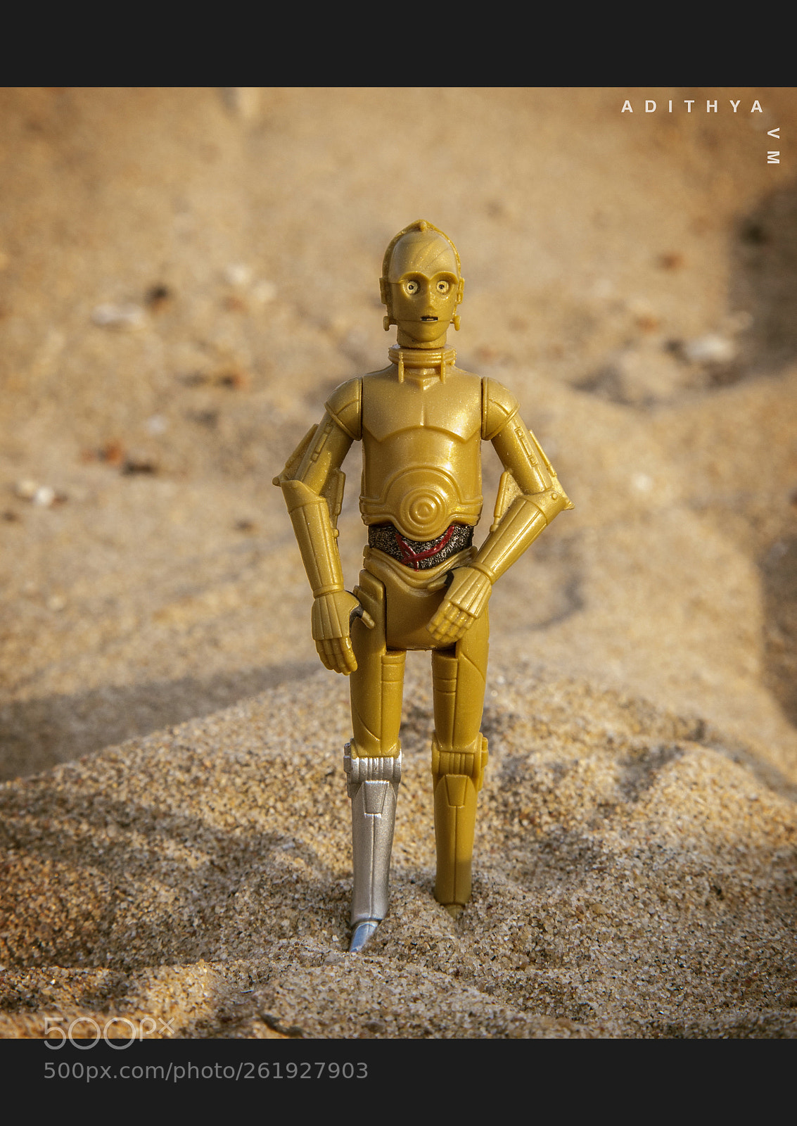 Canon EOS 6D sample photo. Miniature life - c3p0 photography
