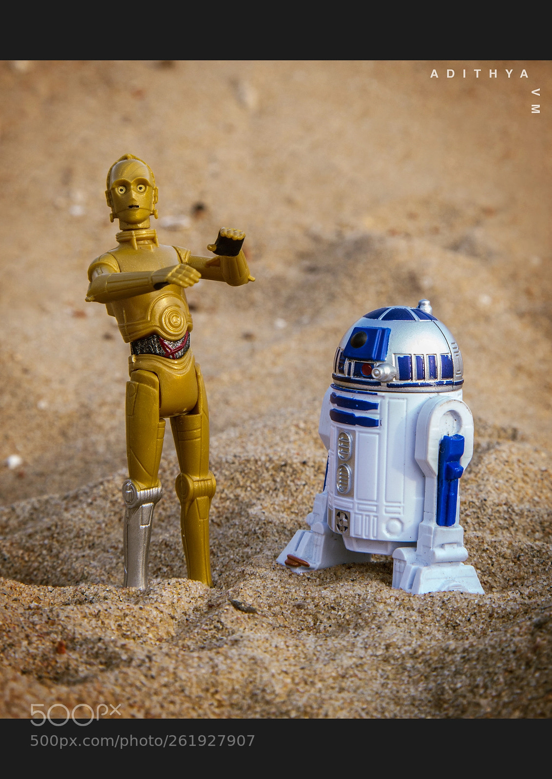 Canon EOS 6D sample photo. Miniature life - star photography