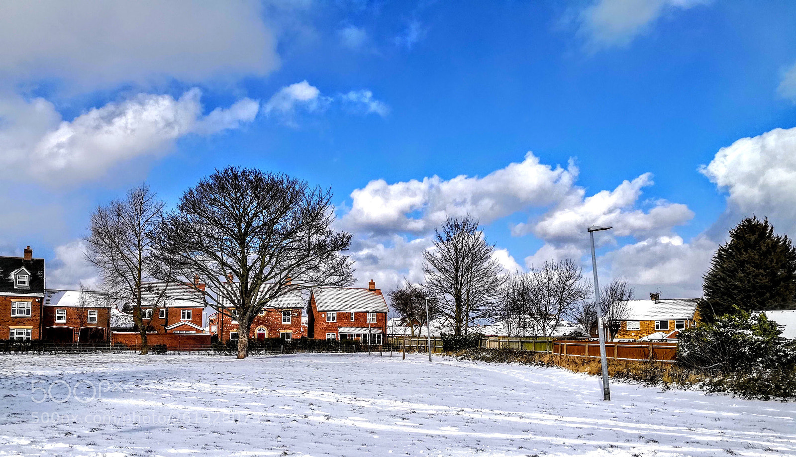 HUAWEI Mate 10 Pro sample photo. Snowy green photography