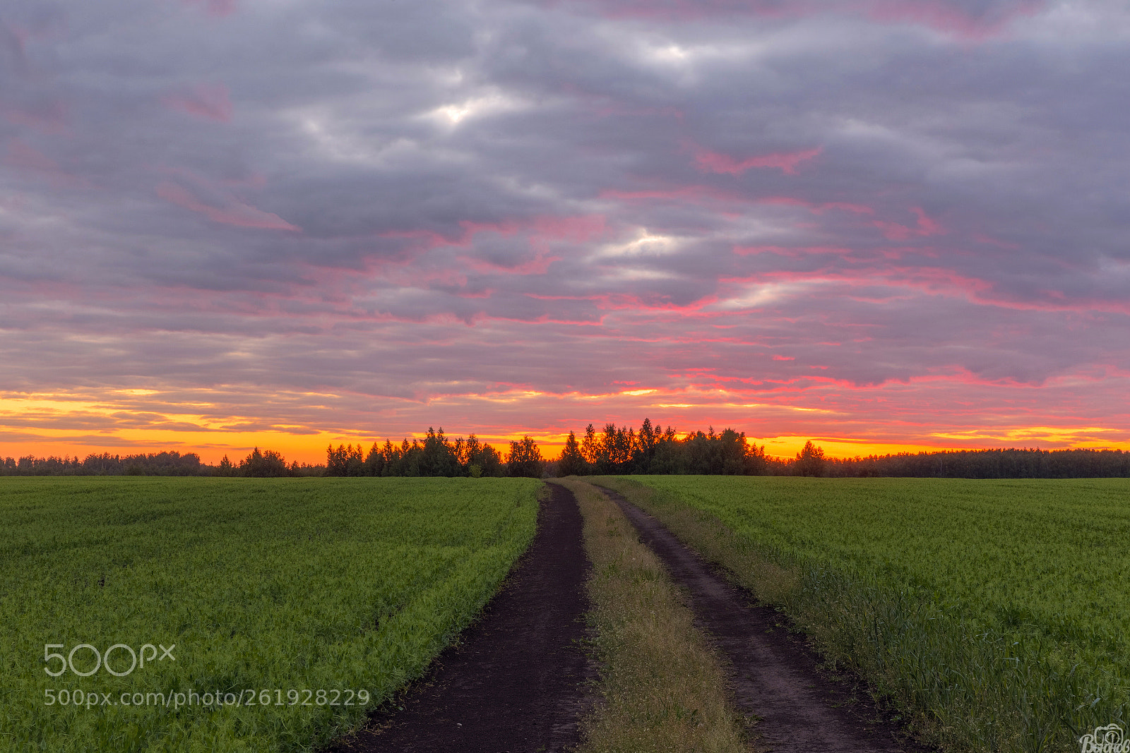 Canon EOS 6D sample photo. Sunset over the field photography