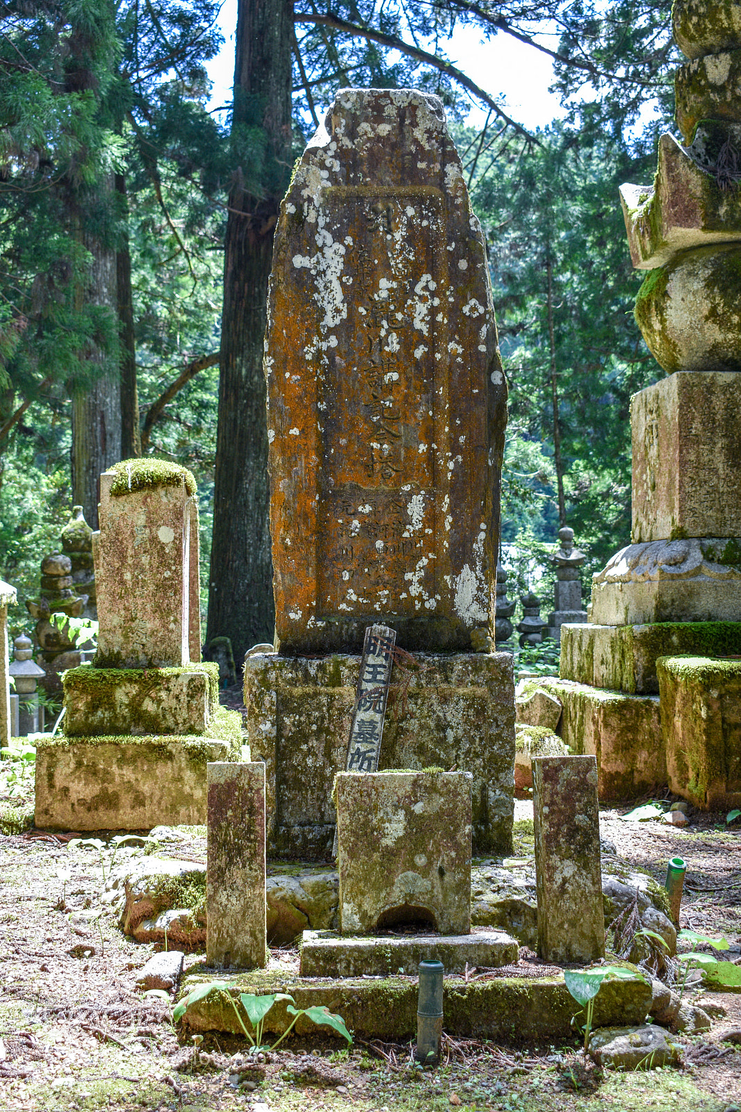 Nikon D3400 sample photo. Dsc photography