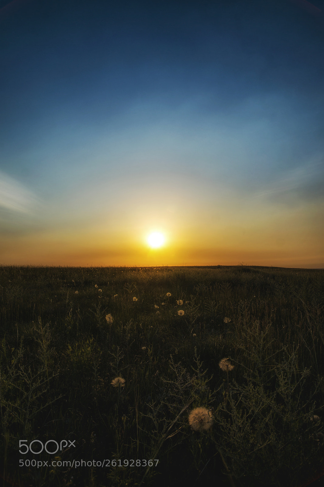 Sony SLT-A77 sample photo. Sunrise in the plains photography