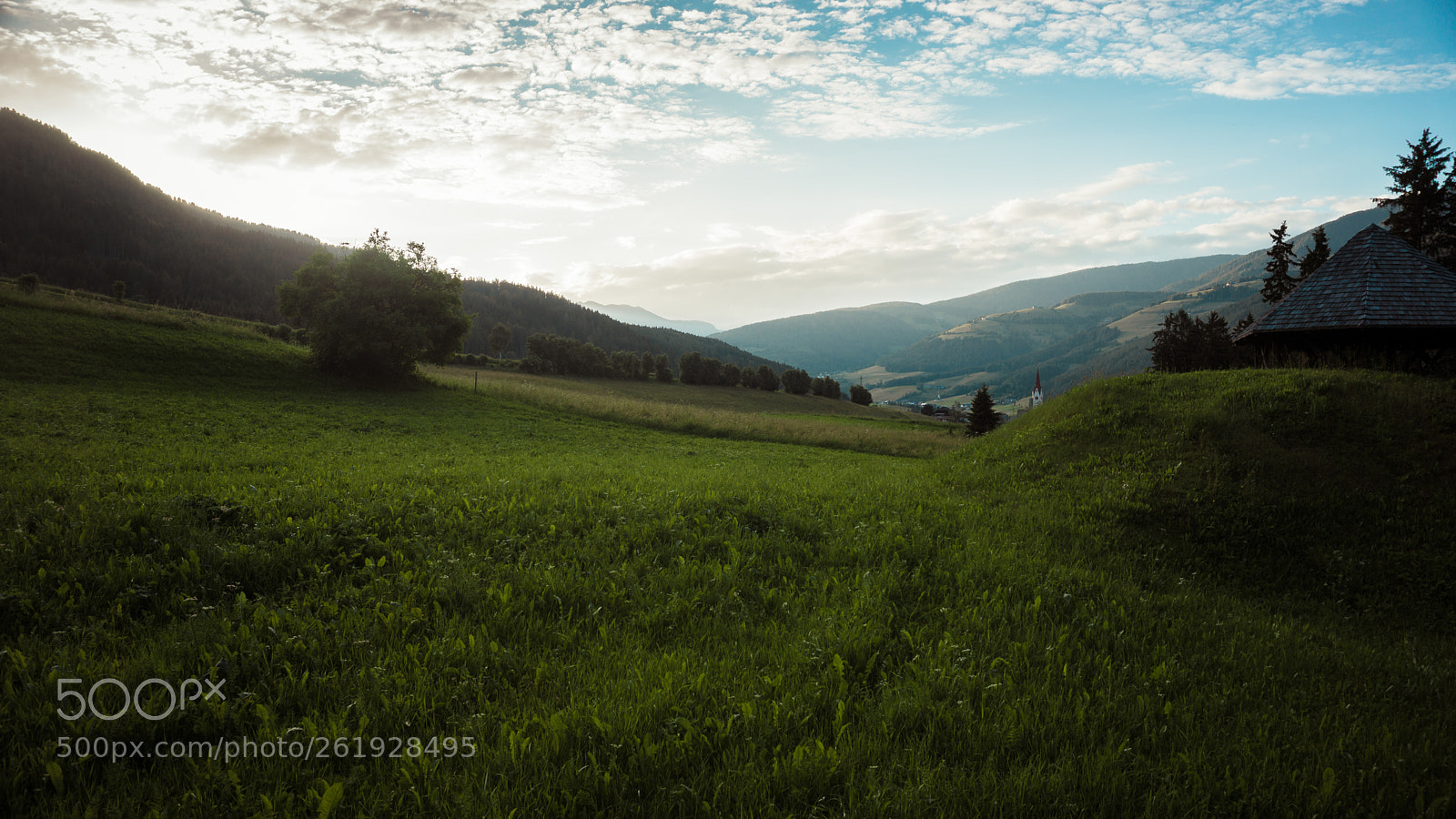 Sony a6000 sample photo. Fields photography
