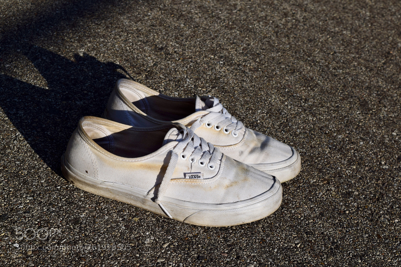 Nikon D3300 sample photo. Sneaks photography