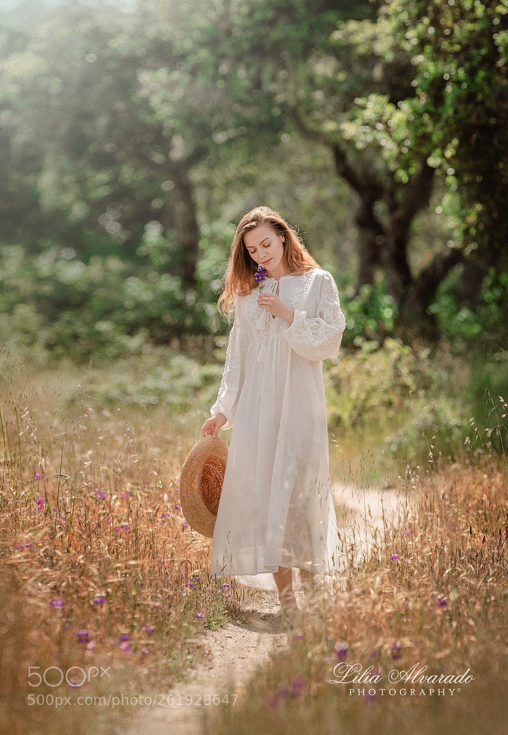 Canon EOS 5D Mark IV sample photo. Summertime ii photography