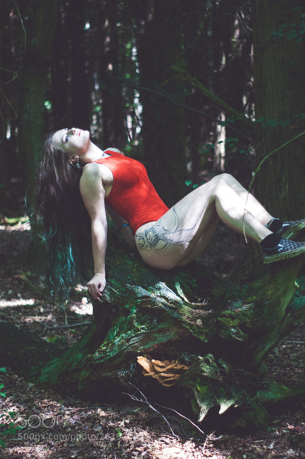 Sony Alpha DSLR-A290 sample photo. Olivia ross photography