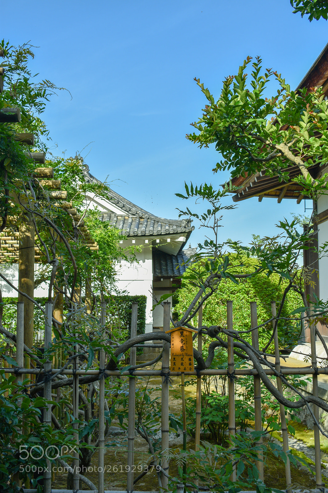 Nikon D3400 sample photo. Dsc photography