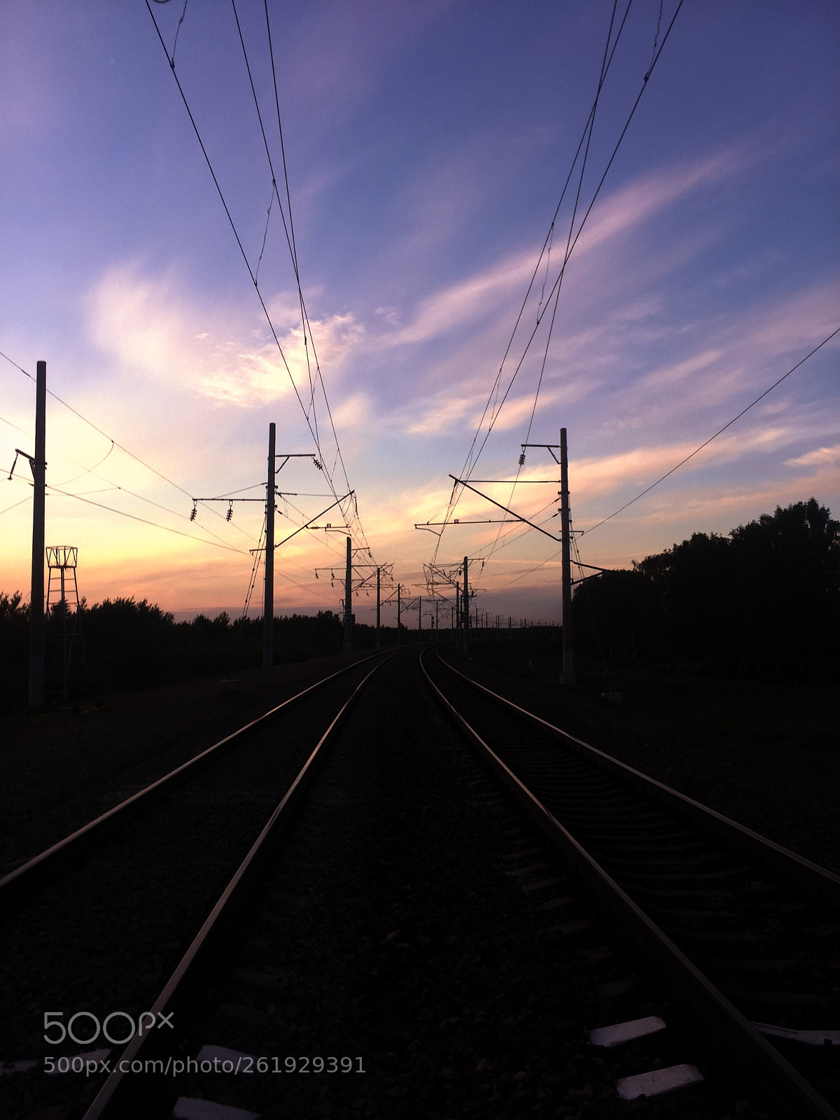 Apple iPhone 6 sample photo. Untitled photography
